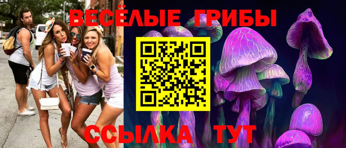 Галлюциногенные грибы Magic Shrooms  Вход с VPN  Ессентуки 